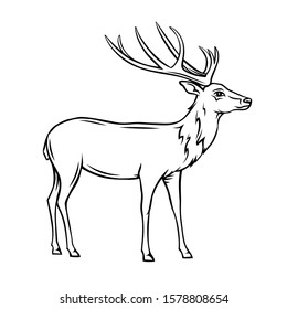 Deer icon. Wild reindeer outline badge. Zoo animal. Vector illustration.