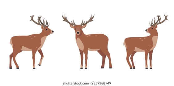 Deer icons set. Horny deer, fawn, spotted reindeers in different poses. Wild forest animals of Europe, America and Scandinavia with big horns. Flat vector illustration isolated on white background.