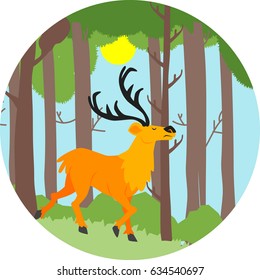 Deer illustration