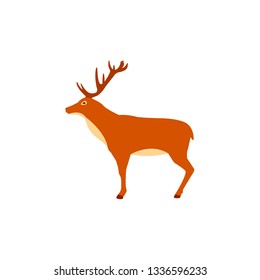 Deer illustration in flat style isolated on white background