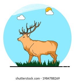 Deer illustration, Flat vector illustration isolated in the background during the day background.