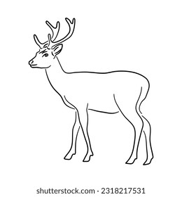 Deer illustration in hand drawn design. Vector.