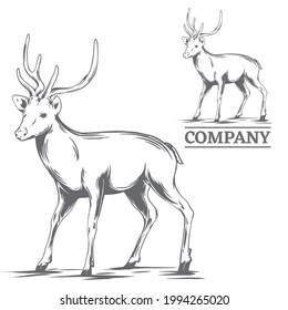 Deer illustration in hand drawn style, vector file, color is easy to edit, can be use for logo, icon, t-shirt design or any your design project