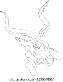 Deer illustration Vector Artwork Design 