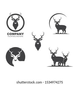 Deer ilustration logo vector template