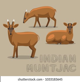 Deer Indian Muntjac Cartoon Vector Illustration