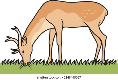 deer isolated art vector wild animal zoo