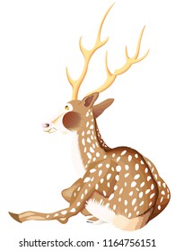 deer isolated in color
