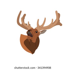 Deer, isolated, color, brown, screaming, vector illustration, horns