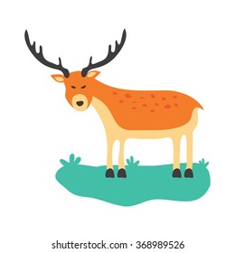 deer isolated on white