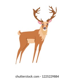 Deer Isolated On White Background Cartoon Stock Vector (Royalty Free ...