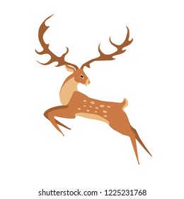 deer isolated on white background, cartoon, vector