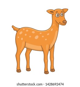 Deer. isolated on white background