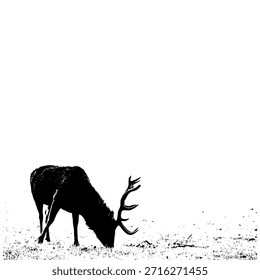 Ciervo aislado en el fondo blanco, diseño del Vector del ciervo