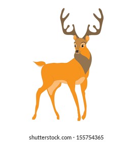 Deer isolated on white. Vector illustration.  Holiday cartoon design. Winter.