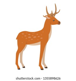 Deer. Isolated vector illustration