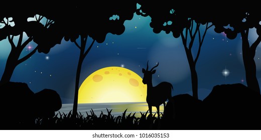 Deer at lake at night
