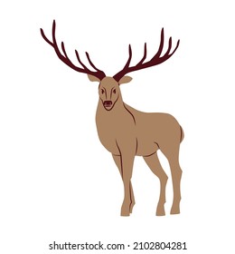 Deer with large antlers isolated on a white background. Vector illustration. A forest animal.