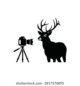 Deer with large antlers looking at camera