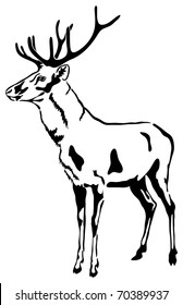 Deer with large antlers. Vector Sketch. (Cervus elaphus)