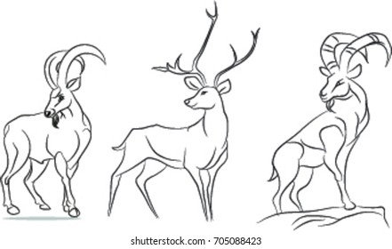 Deer Line art