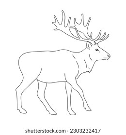 Deer in line art drawing style. Vector illustration.
