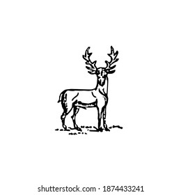 Deer Line Art Illustration Black White Vector
