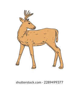 Deer Line art vector illustration. Deer line drawing character illustration. Deer sketch logo for wildlife