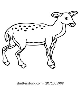 deer line vector illustration,isolated on white background,top view