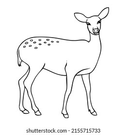 deer line vector illustration,isolated on white background,top view