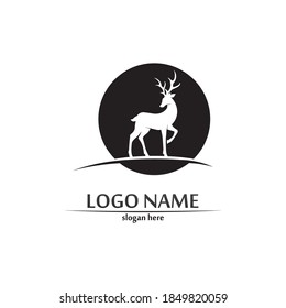 deer logo animal horn and mammal design and graphic vector