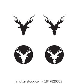 deer logo animal horn and mammal design and graphic vector