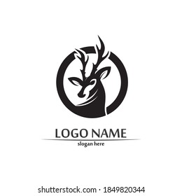 deer logo animal horn and mammal design and graphic vector