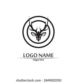 deer logo animal horn and mammal design and graphic vector