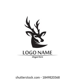 deer logo animal horn and mammal design and graphic vector