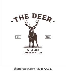 Deer logo, company logo design idea, vector illustration