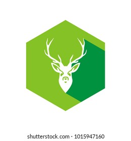 Deer logo design illustration