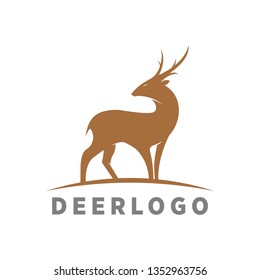 deer logo illustration and template