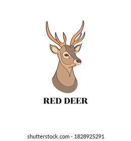 Plantilla del logotipo del venado. Icono de ciervo sobre fondo blanco. EPS10 vectores