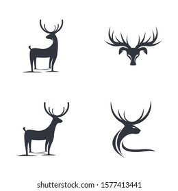 Deer logo template illustraation design