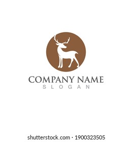 Deer Logo Template vector icon illustration design