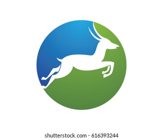 Deer Logo Template vector illustration