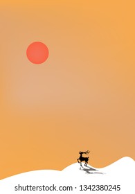 Deer looking at the sun