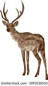 Deer low poly illustration. Stag, reindeer polygonal isolated