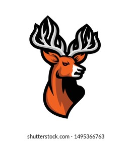 Deer mascot logo head templates