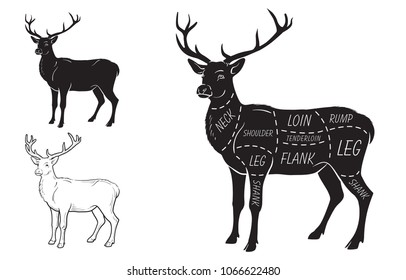 Deer meat cuts with elements and names. Isolated black on white background. Butcher shop. Vector illustration.