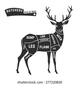 Deer meat cuts with elements and names. Isolated black on white background. Butcher shop. Vector illustration.