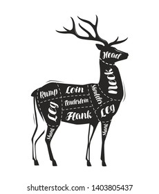 Deer meat cutting. Menu for restaurant or butcher shop. Vector