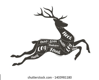 Deer meat cutting. Menu for restaurant or butcher shop. Vector illustration