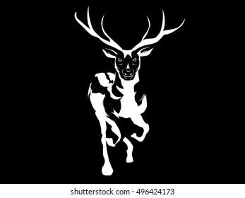 Deer monochrome illustration, vector illustration on black background